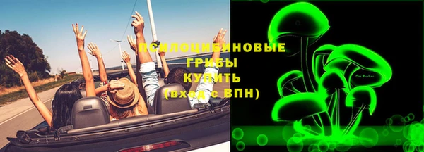 дмт Зеленодольск