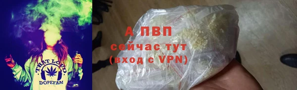 PSILOCYBIN Зерноград