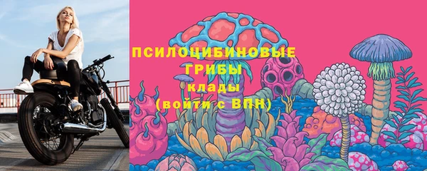 дмт Зеленодольск