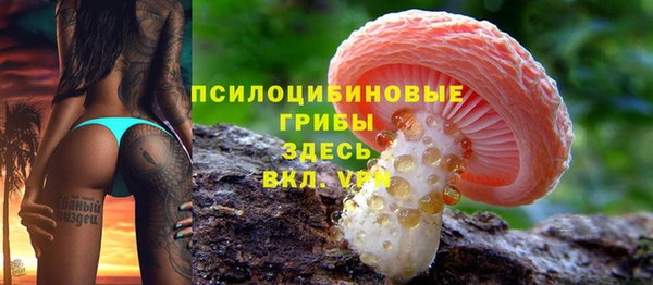 дмт Зеленодольск