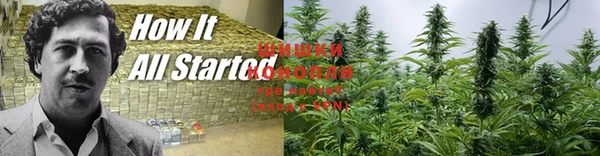 дмт Зеленодольск