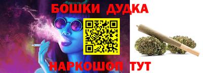 дживик Можга