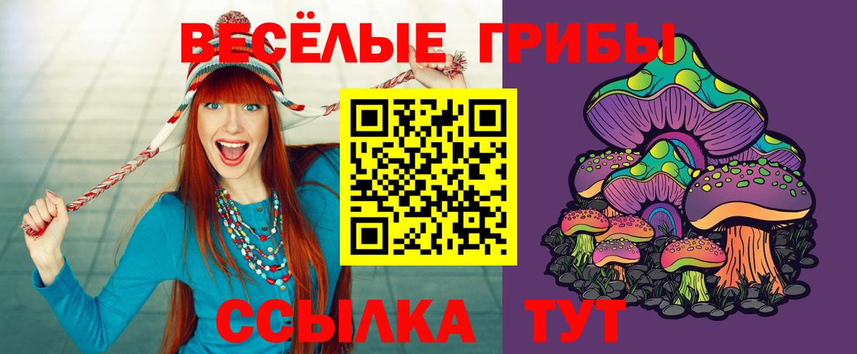 Снежинск  Галлюциногенные грибы GOLDEN TEACHER  Галлюциногенные грибы мицелий  Вход с VPN 